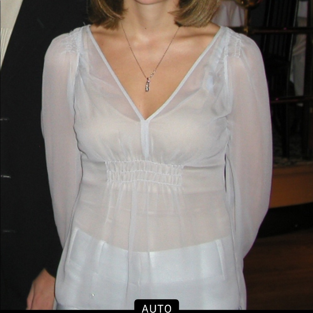 BCBGMaxazria Chiffon Blouse size 0. Stunning!